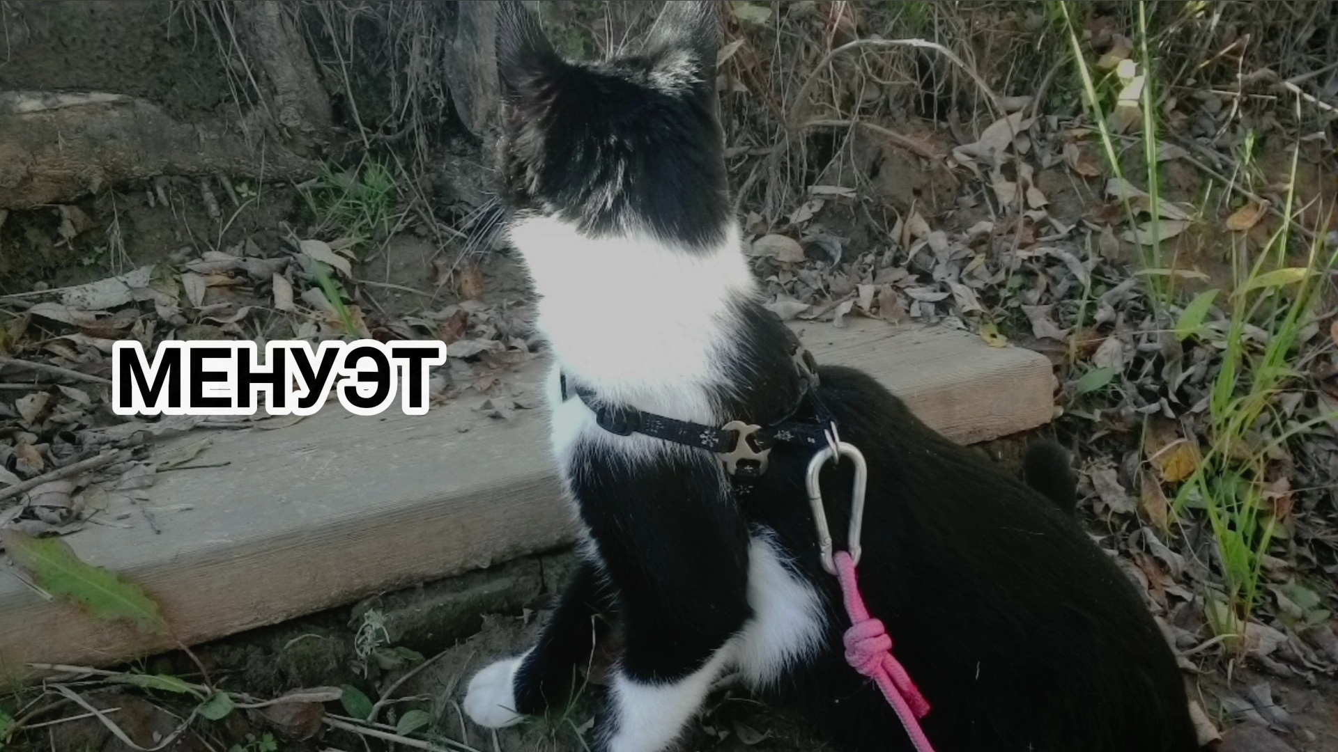 Предмет : аранжировка,3 курс | Музыкальное звукооператорское мастерство смотреть онлайн