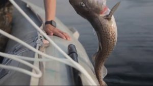 Охотское море