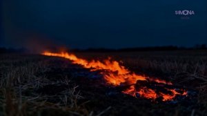 [ midnight stereo love ] #italodisco #West-GermanyDisco #FrenchDisco