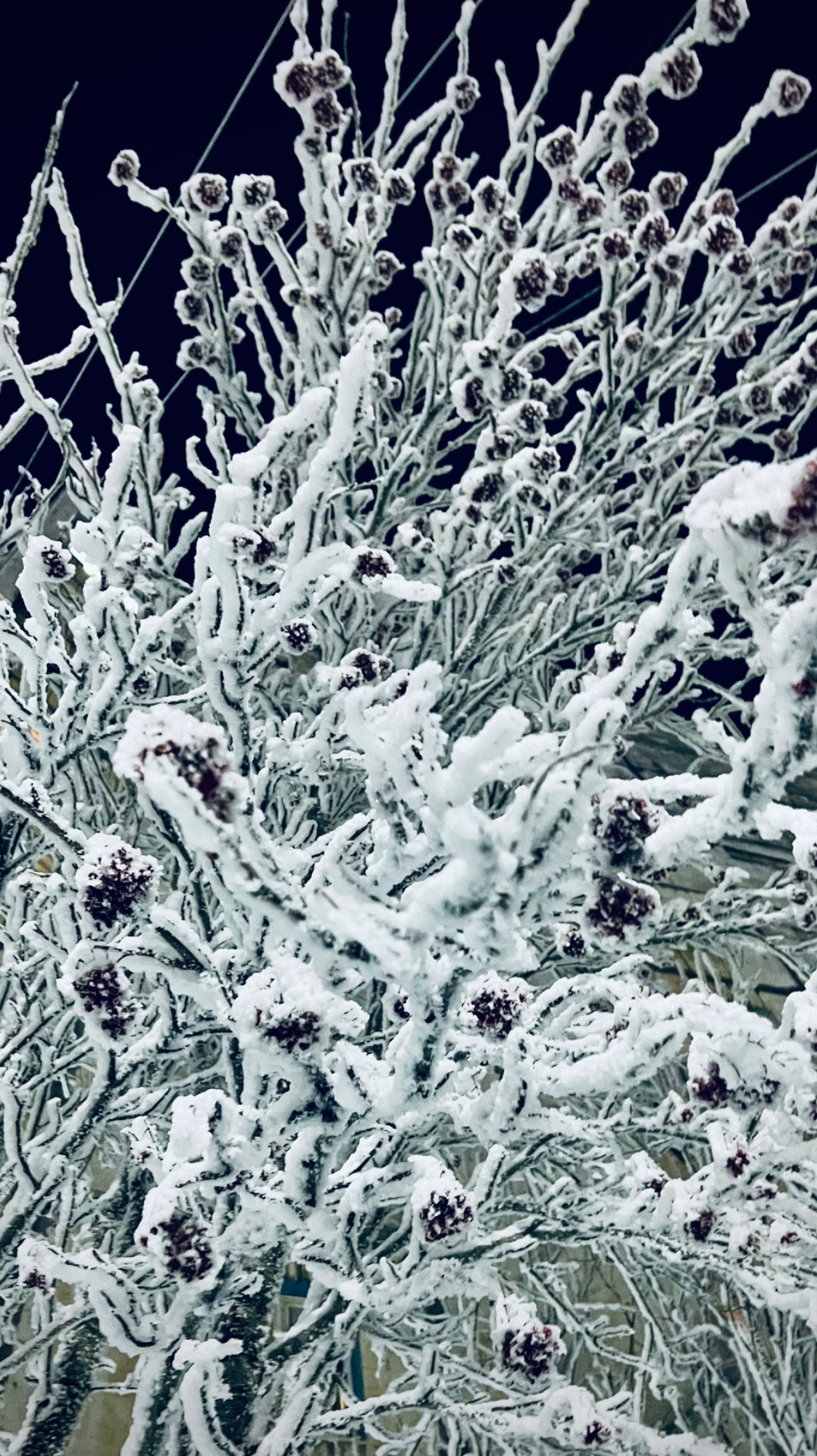 Морозные хлопья ❄️