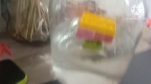 Приключения ТНТ фонда