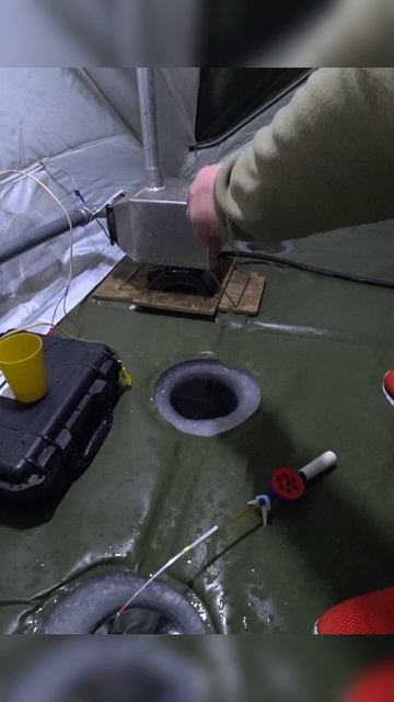 ЗОЛОТИСТЫЙ КАРАСЬ. #shorts #рыбалка #fishing #рыба #fish #эдвардкосичка #природа #nature #отдых смотреть онлайн