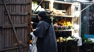 СФ одобрил проект о размещении нестационарных торговых точек на частной земле