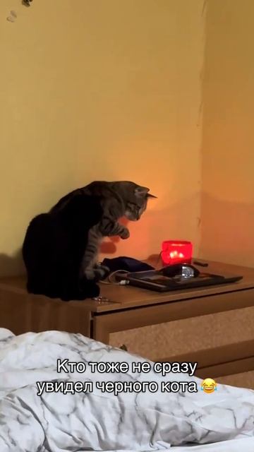 Сколько раз пересмотрел?) смотреть онлайн