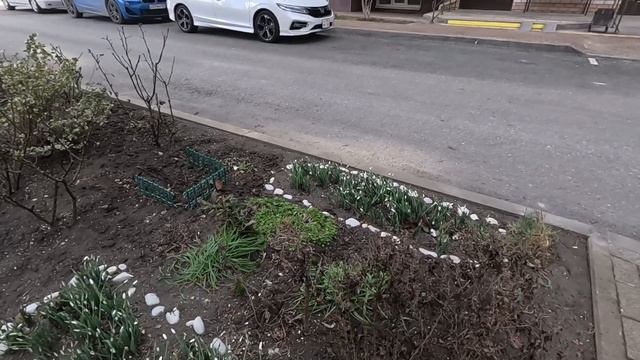 28.01.26.Анапа. смотреть онлайн