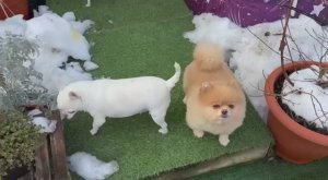 Погода у нас прям весенняя - запахло весной.