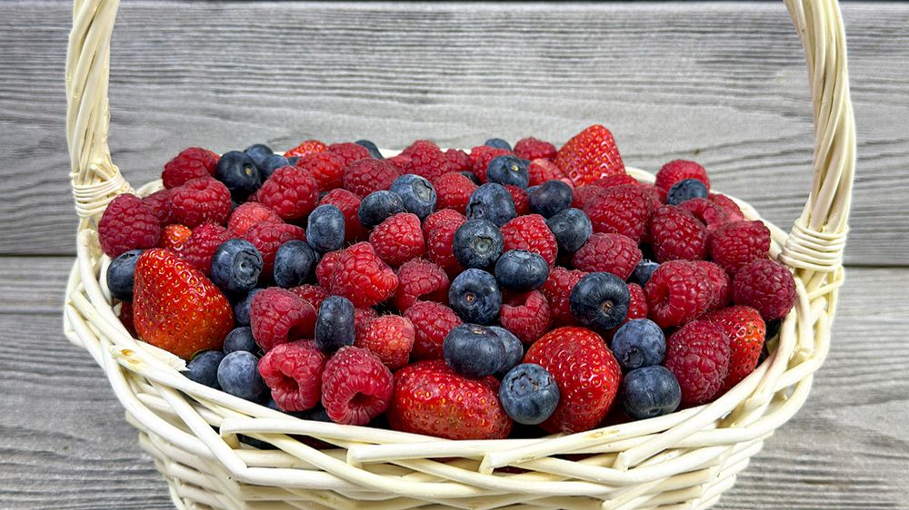 Ягодная корзина «Ягодное лукошко» Ягодная корзина «Ягодное лукошко»