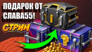 Подарок подписчикам от СЛАВА 55🚀👍 В Tanks Blitz #игры #танки #TanksBlitz