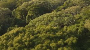 Фильм Анаконда 2026