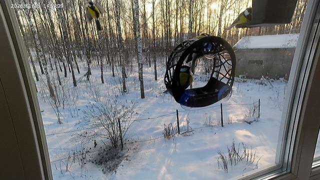 20260125_144834 смотреть онлайн