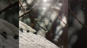 Данил Мосяков - Заря