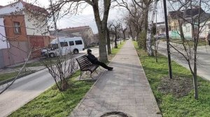 Анапа. Весна зимой! Улица Гоголя 28 января 2026. 13.30