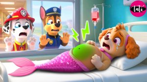 Щенячий патруль и Маршалл. Залипательное видео. Мультфильм для детей и малышей. Анимация 149