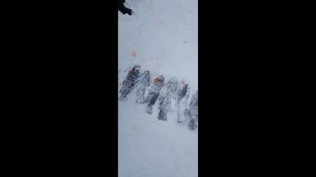 28.01.26 смотреть онлайн