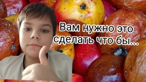 Проверяем “Марию-Ра”: кассы глючат, яблоки в сетках. + НАША АКЦИЯ для зрителей!