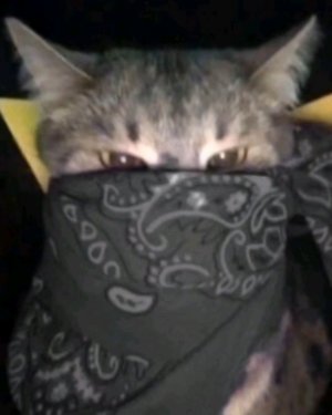 я изменился только в названии и Аватарки канала 😈, а так я тот же самый 😄