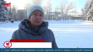 Четверть часа 27 января 2026