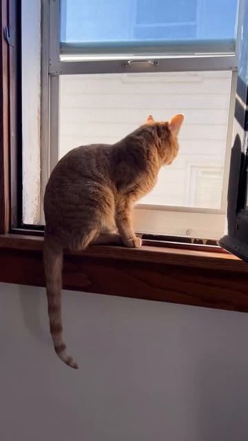 Рыжая проблема смотреть онлайн