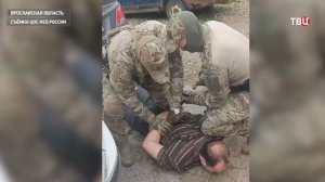 Жителя Ярославской области осудили на 14 лет за госизмену