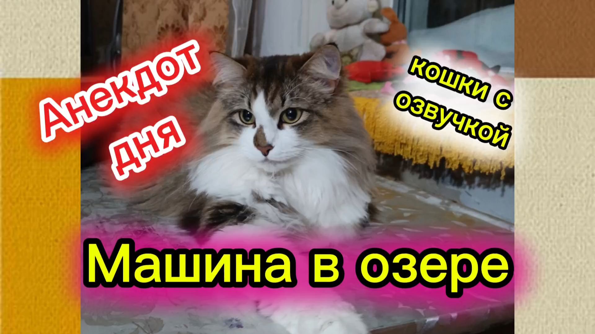 АНЕКДОТ ДНЯ. смотреть онлайн