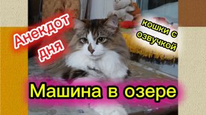 АНЕКДОТ ДНЯ.