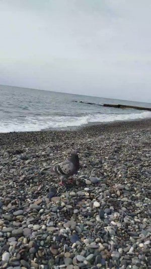 Море каждый день!🌊🌊🌊