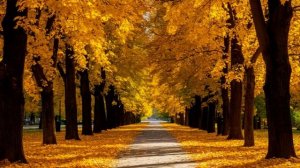 Благая судьба