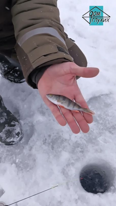 🎣 Зимний турнир по подлёдному лову в Липецке смотреть онлайн