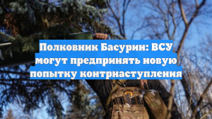 Полковник Басурин: ВСУ могут предпринять новую попытку контрнаступления