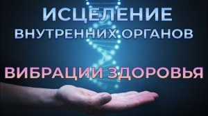 ЦЕЛИТЕЛЬНЫЕ ЗВУКИ ✨ ВНУТРЕННИЕ ОРГАНЫ КАК НОВЕНЬКИЕ | SkillGenius⚡МАСТЕР ГЕНИЯ