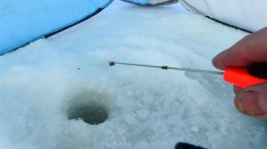 Рыбалка на безмотылку в глухозимье - новый повод смыться из дома - красота!