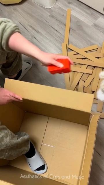 Забавные коты .mp4 смотреть онлайн