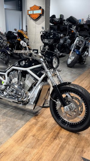 V-ROD Rick's Edition 240