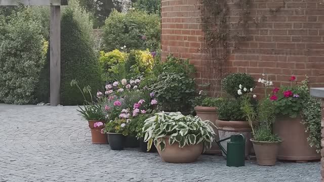Как правильно разместить садовые горшки в саду, на террасе или во внутреннем дворике смотреть онлайн