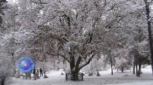 Зарисовка на песню Ивана Резанова "Снег"