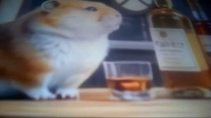 сидим с бобром за столом (поззи)