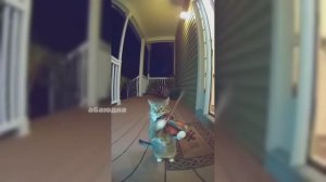 Котёнок ии 🔥😍🤣🤣🤣 #видео #рутуб #тренд #смех #угар #юмор #абаюдна #детям #прикол