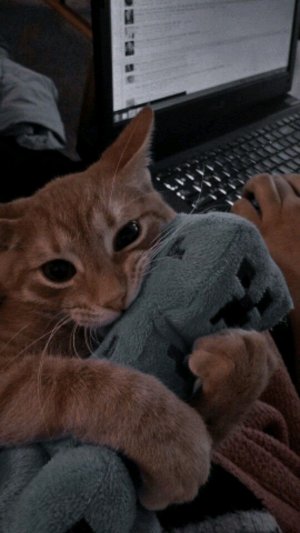 привет 💋☺️