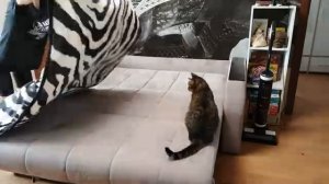 Навожу порядок в гостиной Мотивация на уборку в квартире