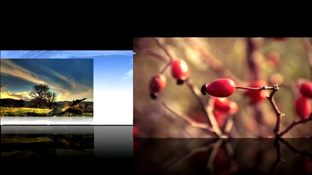 Mr.Nobody - Moments of Silence смотреть онлайн