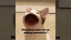 обработка видио ^-^