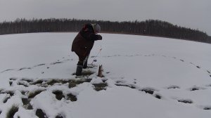 Зимняя рыбалка это СПОРТ ! ЛОВИМ ЩУКУ НА ЖЕРЛИЦЫ !