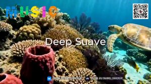 Утро начинается с мягких ритмов! Как электронная музыка задает тон новому дню