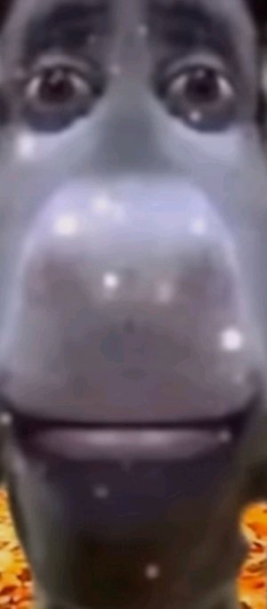 реакции шортс