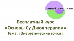 Су Джок. Базисные энергетические точки