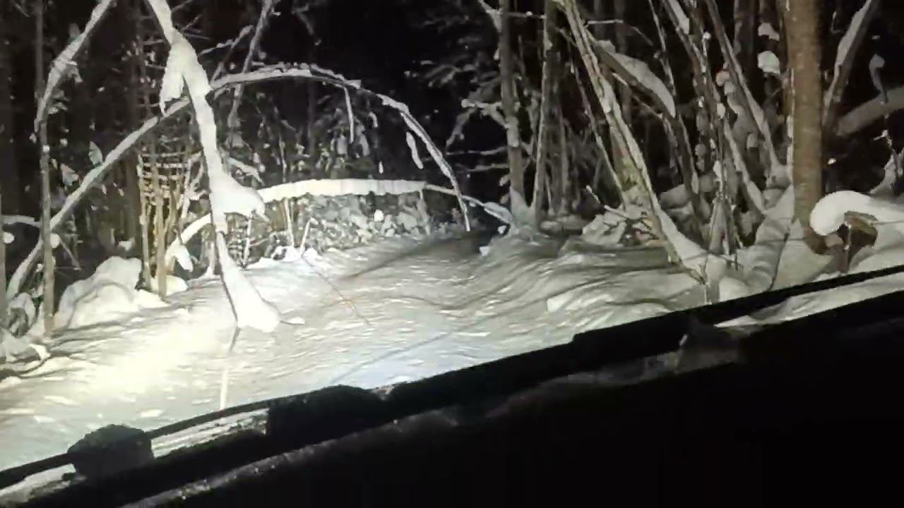 Куда вы .... смотреть онлайн