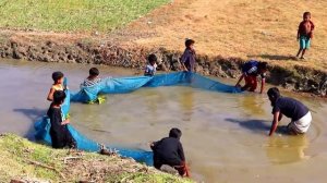 ЛОВИМ РЫБУ СЕТЬЮ