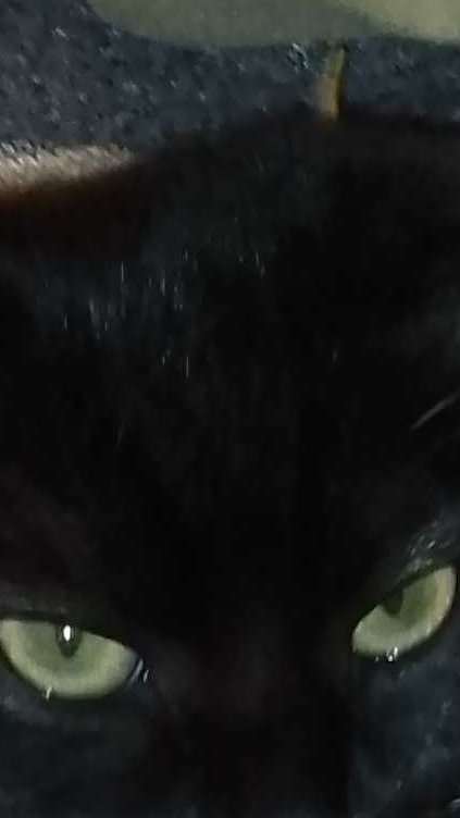 я так в первый раз готовил 