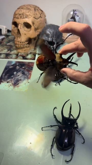 2026-01-28 смотреть онлайн