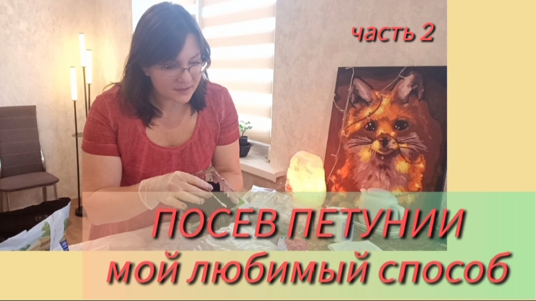 Посев петуний на рассаду. Делюсь секретами хороших всходов. Часть 2✅ смотреть онлайн